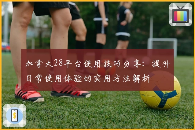 加拿大28平台使用技巧分享：提升日常使用体验的实用方法解析