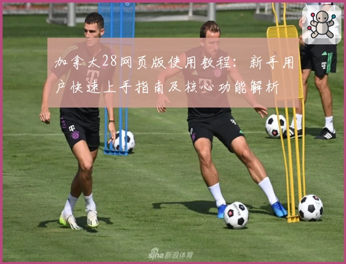 加拿大28网页版使用教程：新手用户快速上手指南及核心功能解析