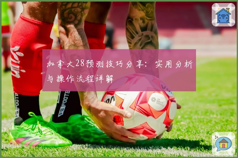 加拿大28预测技巧分享:实用分析与操作流程详解