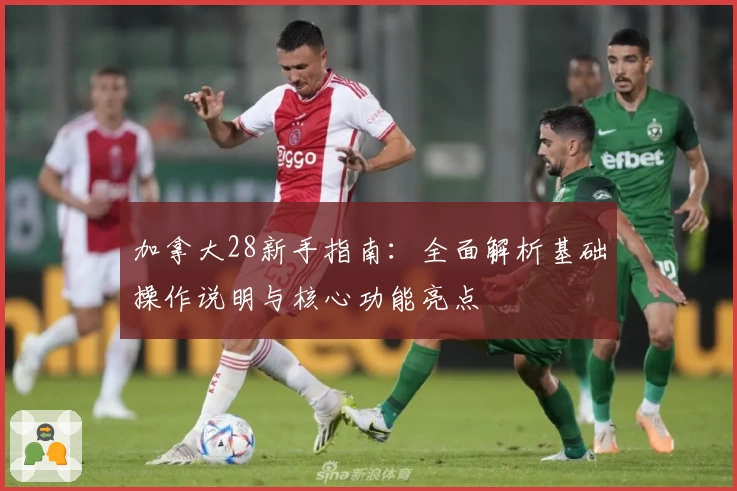 加拿大28新手指南：全面解析基础操作说明与核心功能亮点