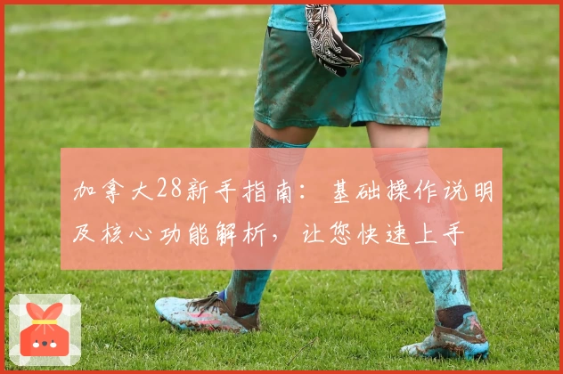 加拿大28新手指南：基础操作说明及核心功能解析，让您快速上手