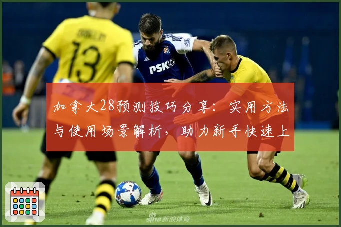 加拿大28预测技巧分享:实用方法与使用场景解析,助力新手快速上手