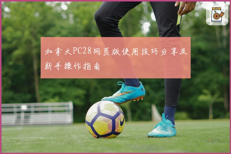 加拿大PC28网页版使用技巧分享及新手操作指南