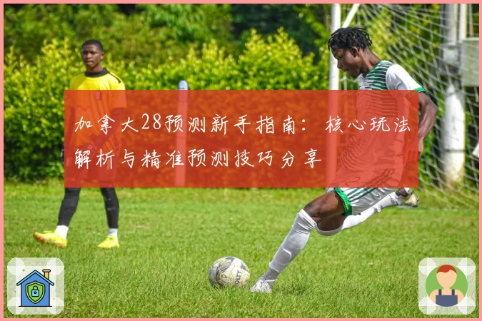 加拿大28预测新手指南：核心玩法解析与精准预测技巧分享