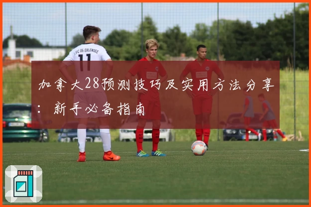 加拿大28预测技巧及实用方法分享：新手必备指南