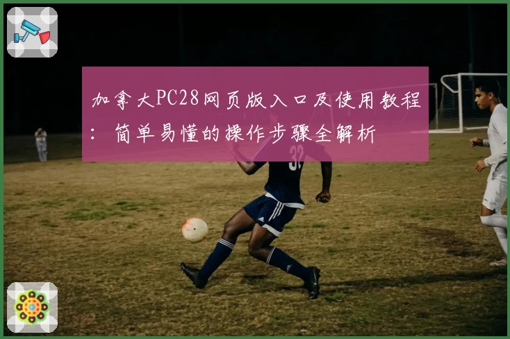 加拿大PC28网页版入口及使用教程：简单易懂的操作步骤全解析