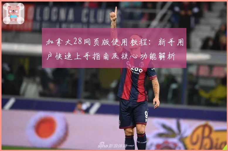 加拿大28网页版使用教程:新手用户快速上手指南及核心功能解析