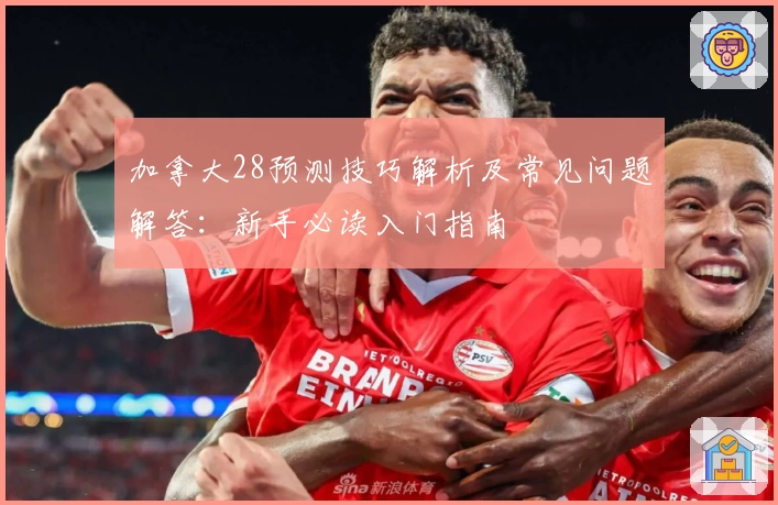 加拿大28预测技巧解析及常见问题解答：新手必读入门指南